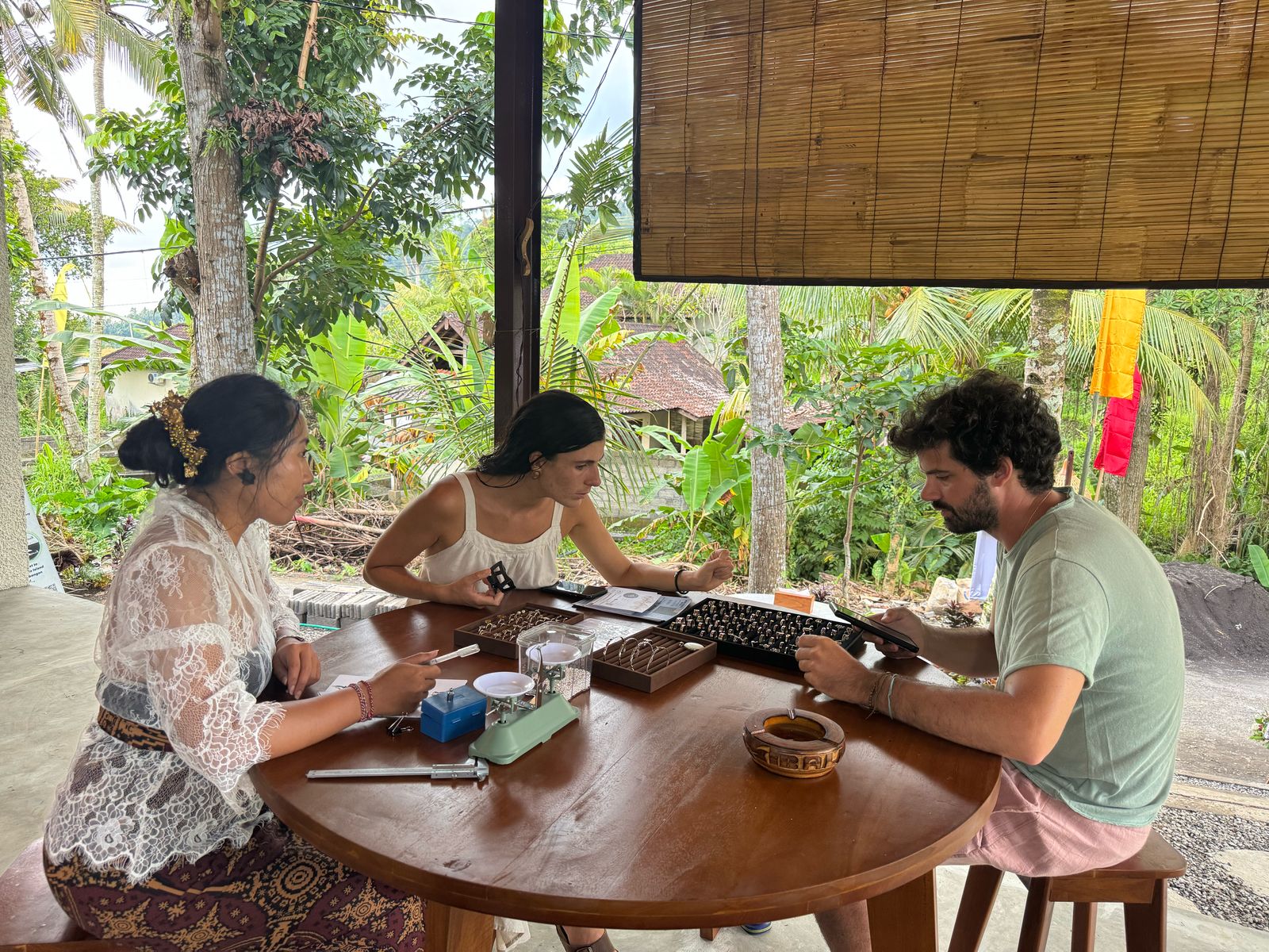 Description of image 3